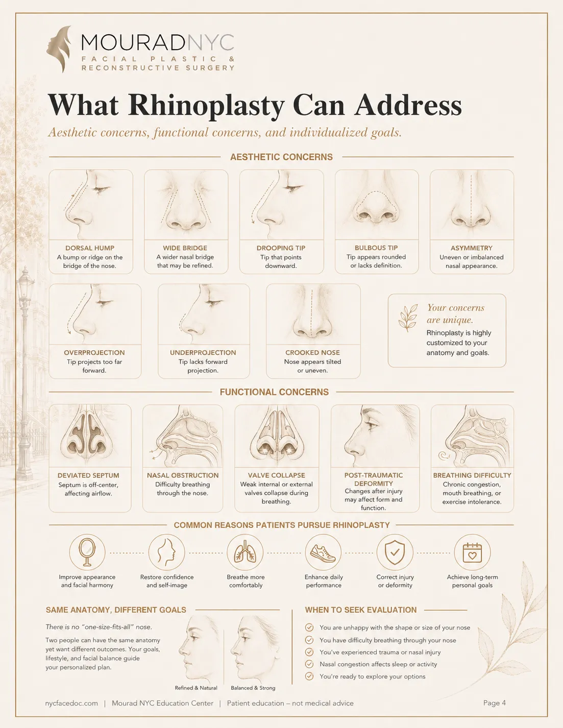 Rhinoplasty Guide — page 4: What Rhinoplasty Can Address