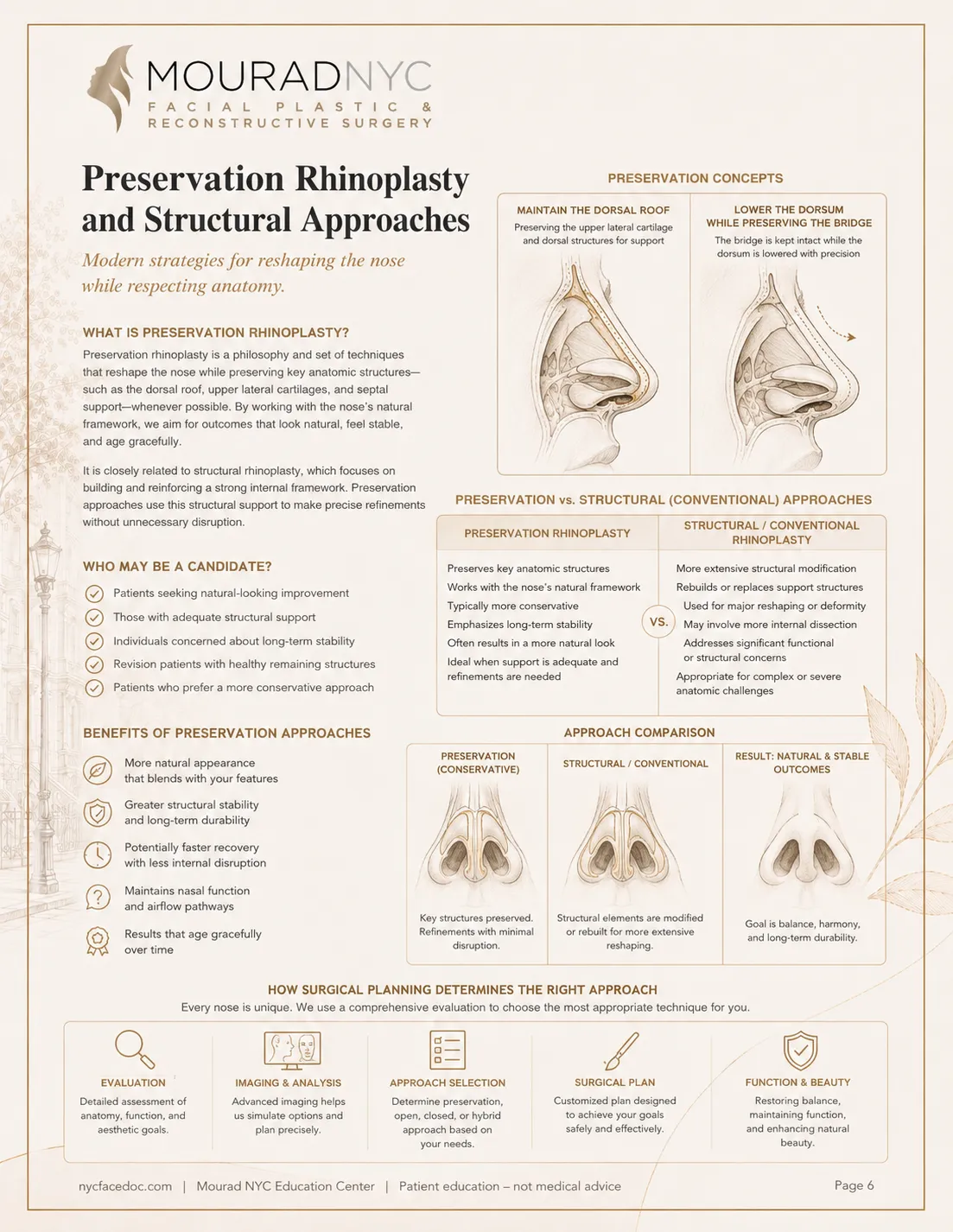 Rhinoplasty Guide — page 6: Preservation & Structural Approaches