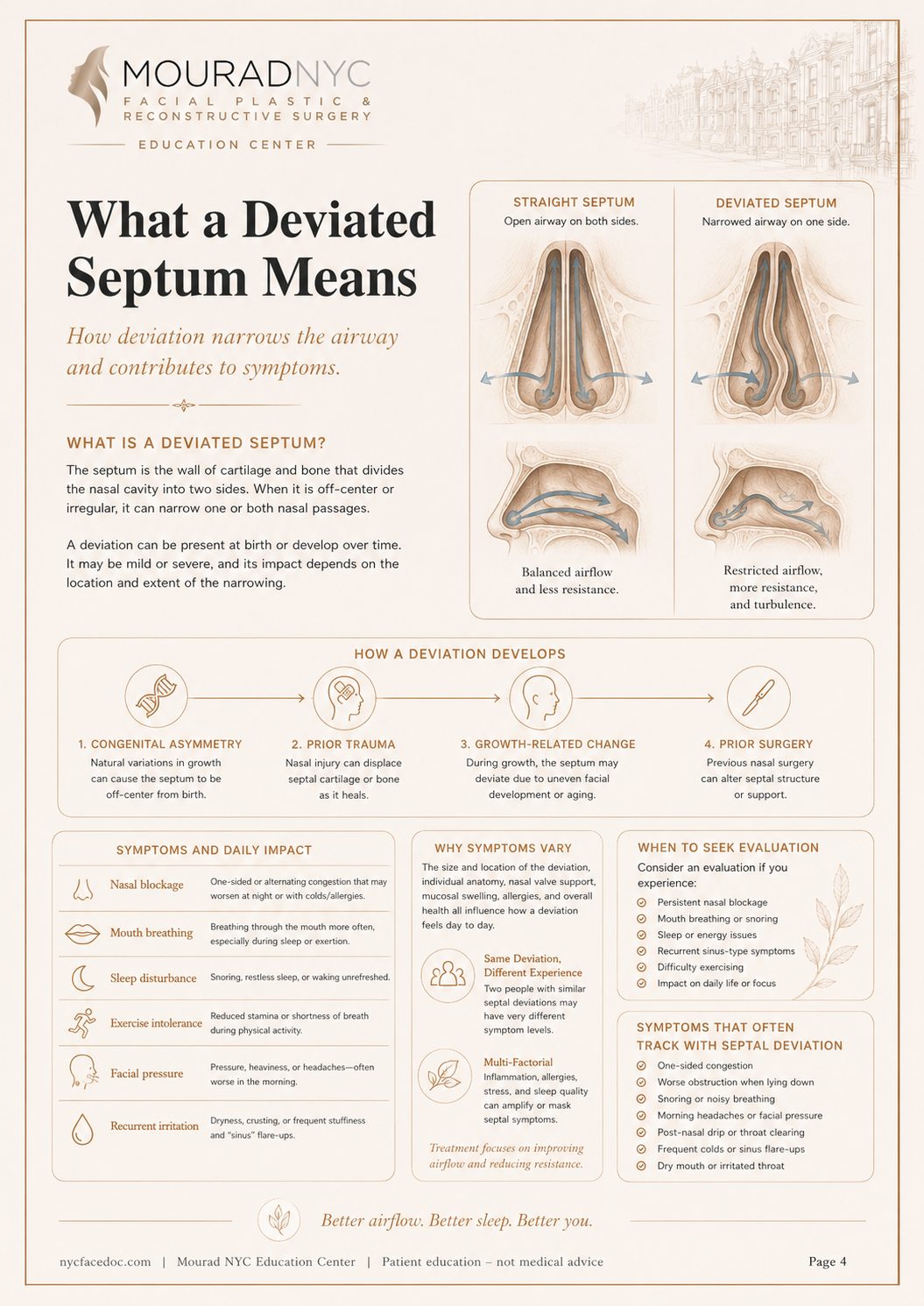 Septoplasty Guide — page 4: What a Deviated Septum Means